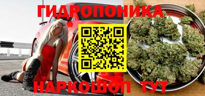 спиды Краснознаменск