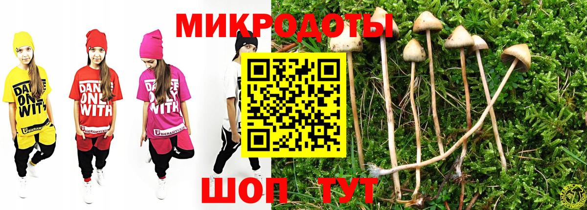 Галлюциногенные грибы прущие грибы  Вход с VPN  Галлюциногенные грибы Cubensis  Кимовск 