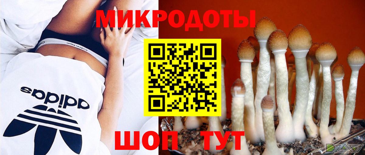Галлюциногенные грибы GOLDEN TEACHER Кимовск