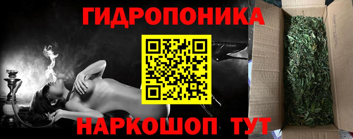 Канабис семена Кимовск